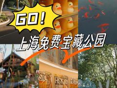 -和平公园