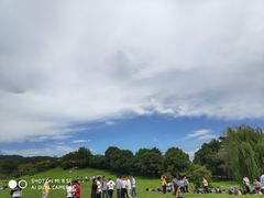 -雨花胜境