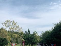 -日照海滨国家森林公园