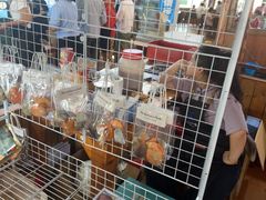 -蓝湾碧波·老字号·疍家非遗海上餐厅