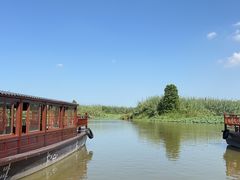 -宁波杭州湾国家湿地公园