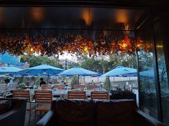 -成都娃娃花园餐厅 (南艺旗舰店)