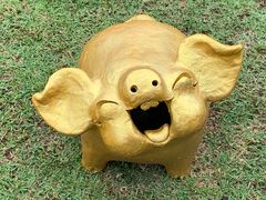 -清迈夜间动物园