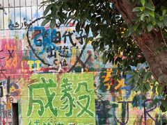 -黄桷坪涂鸦艺术街