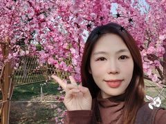 -石家庄正定国际机场-T2航站楼