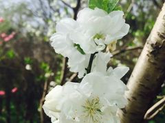 -烟火鱼乡(京华城店)