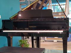 -圣典成人钢琴俱乐部(国贸旗舰校区)