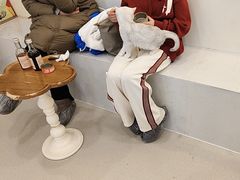 -共舞时光猫咖·狗咖(新街口店)