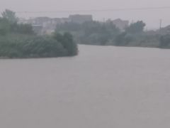 -洪湖生态旅游区