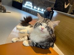 -哈根达斯(大悦城店)