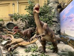 -国家自然博物馆