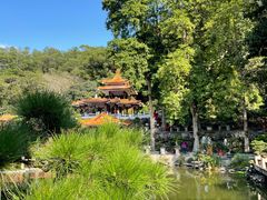 -深圳仙湖植物园