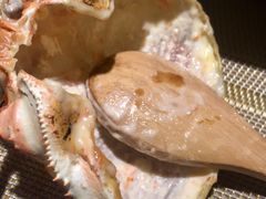 -金善子深海料理(云鼎店)