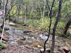 -玉渡山自然风景区
