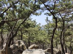 -崂山巨峰游览区