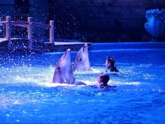 -华夏文旅海洋公园