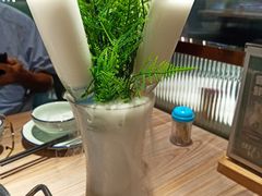 -探窝·竹笙椰子鸡(杨箕店)