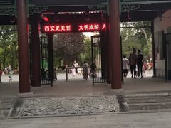 -莲湖公园