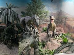 -国家自然博物馆