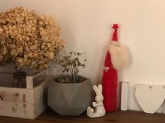 -iBallet爱芭蕾舞蹈艺术中心(星合校区)