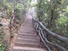 -梧桐山风景名胜区