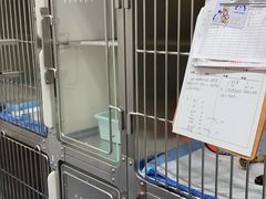 -心语宠物医院·急重症转诊中心·瑞辰华诺(南青路店)