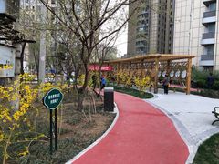 -和平区健康主题公园
