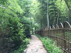 -张鸟园农家乐(张鸟园店)