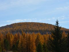 -塞罕坝国家级自然保护区