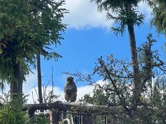 -重庆云阳龙缸景区