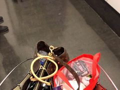 -蒙特利尔皮埃尔·埃利奥特·特鲁多国际机场