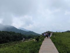 -白草畔自然风景区