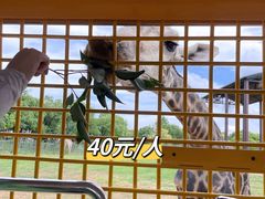 -上海野生动物园