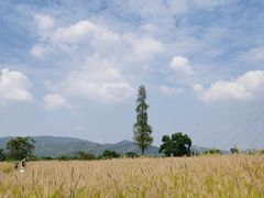 -良渚古城遗址公园