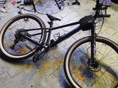 -道路口单车爱瓦士dahon大行