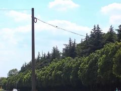 -上海佘山国家森林公园天马山园