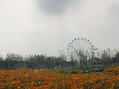 -云幽谷旅游区