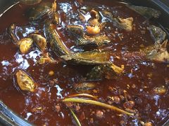 -金海椒罐罐鲢鱼(东方桂苑店)