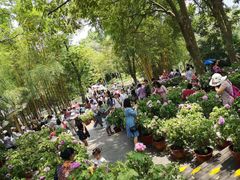 -广西壮族自治区药用植物园