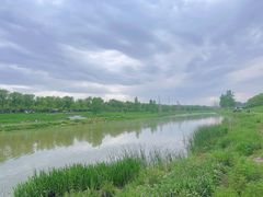 -洨河生态公园