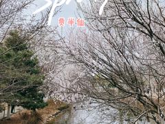 -长白岛森林公园