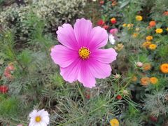 -共青国家森林公园-南大门停车场