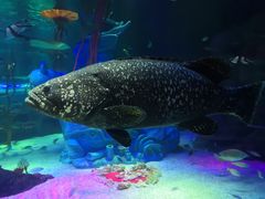 -沈阳海洋探索中心