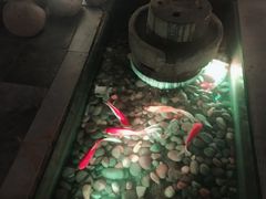 -花千醉(新街口店)