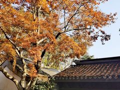 -惠山古镇·寄畅园