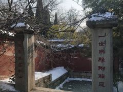 -淄博聊斋城景区