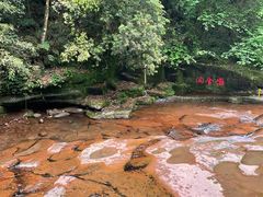 -碧峰峡风景区