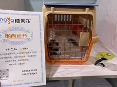 -纳吉亚猫专科动物医院·北北分院