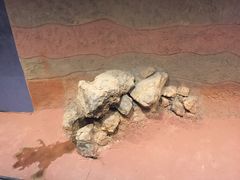 -盘龙城遗址博物院