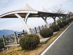 -江南天池